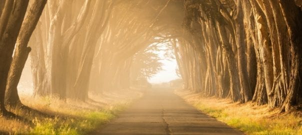 Six Steps to a Great Business Plan