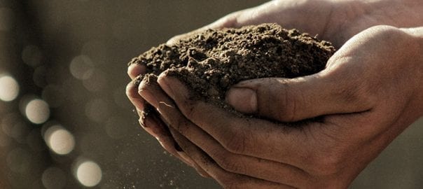 Agriculture Projects and Crowdfunding