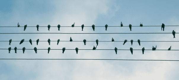 In business, the key to success is alignment