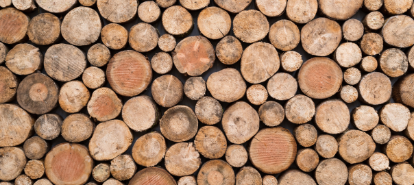 ONEtoONE has acted as the exclusive financial advisor to our client, van Hoorebeke Timber, in the sale of their company to van Steenberge.
